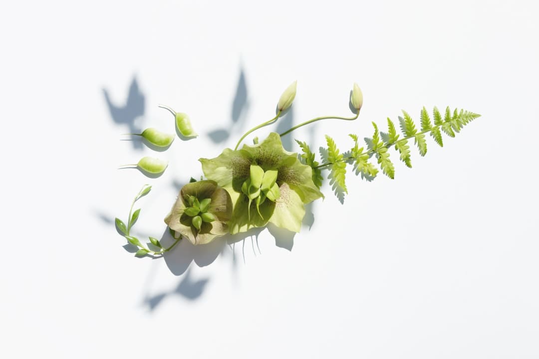 盯着拾荒老人不放，是怜悯？还是想遮羞？